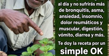 683414119 122165692274943773 1434767276871330117 n