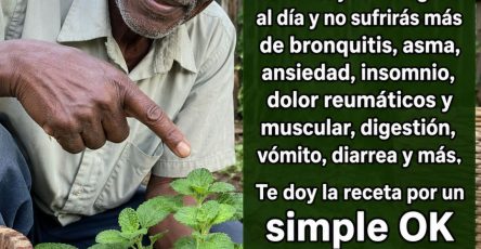 683414119 122165692274943773 1434767276871330117 n