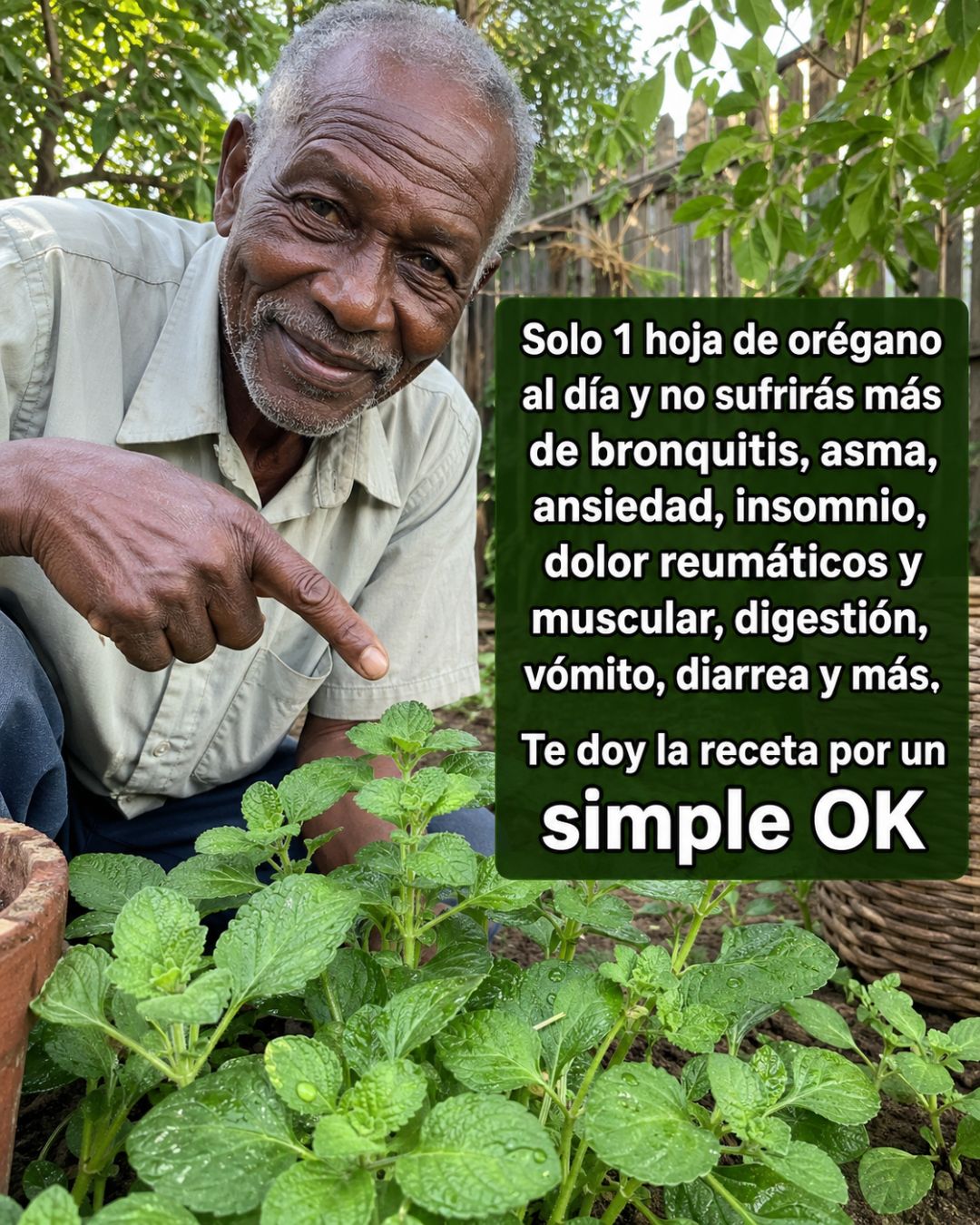 683414119 122165692274943773 1434767276871330117 n