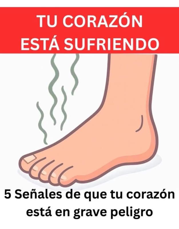 WhatsApp Image 2026 04 28 at 01.08.09