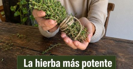 694544339 1434826848446451 4541676081416060612 n