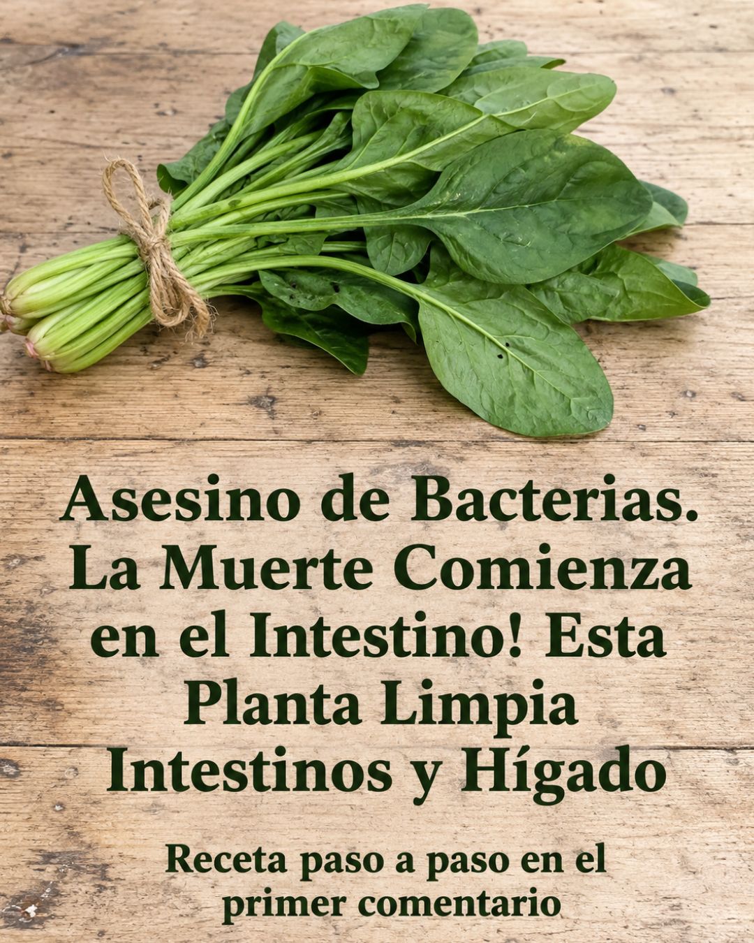 699376386 1437841121478357 5232057027608748458 n
