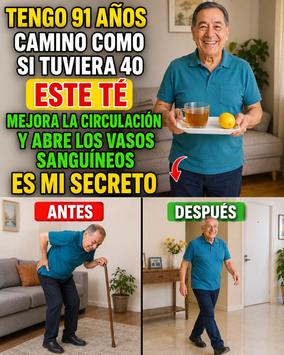 702320511 1440427417886394 7251710880554295422 n