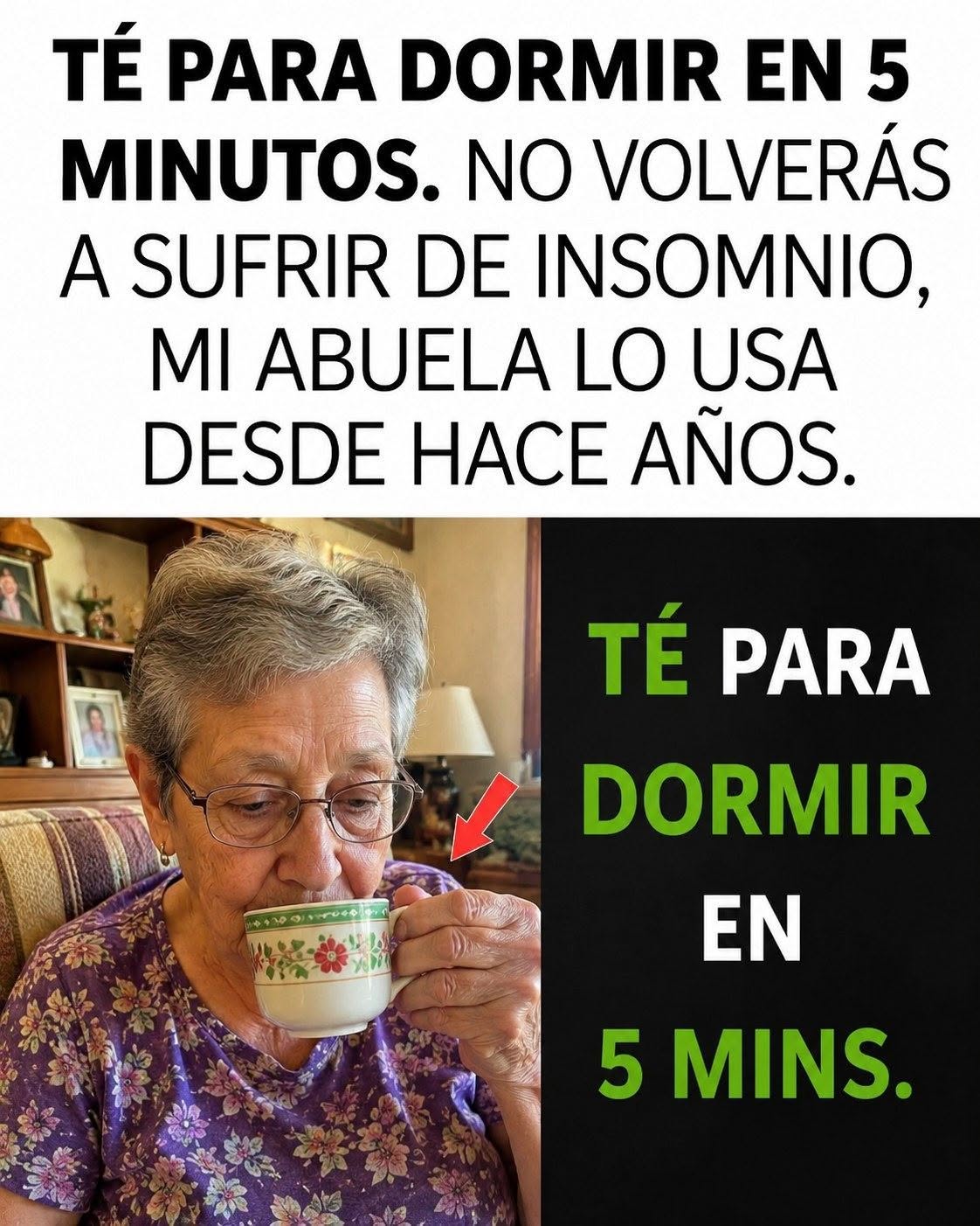 717358025 1458335166095619 83900283778863189 n