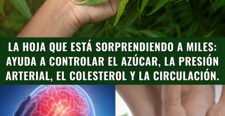 727051708 973943908777062 3825340388501455353 n