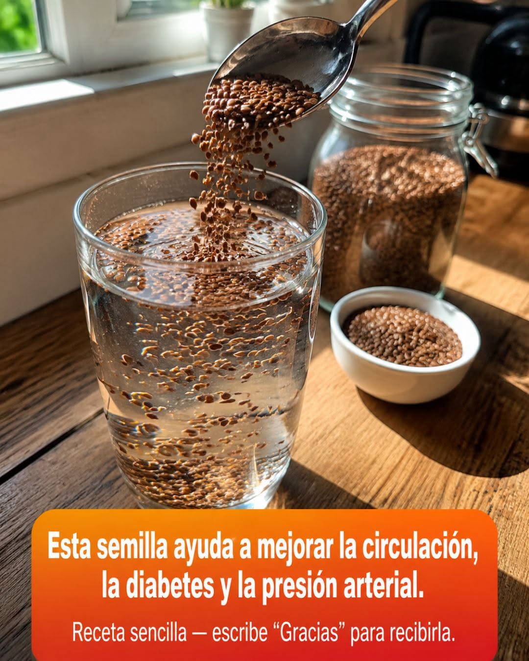 728469151 1530120005334829 7834342153464106649 n