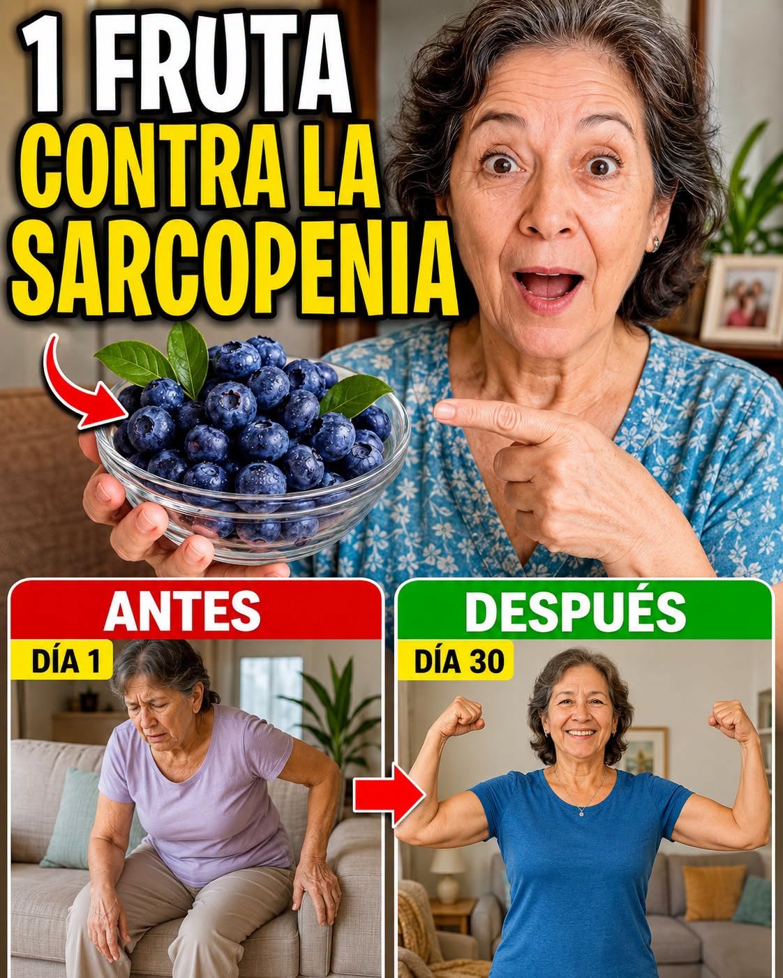 730941727 1614345943734078 3615871149575018977 n