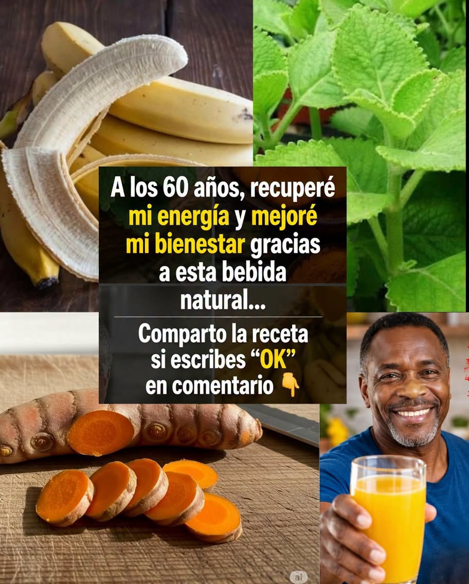 737528951 1330465348844781 2993187579109691153 n