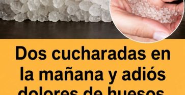752631847 1031384266466686 1544978977660289694 n