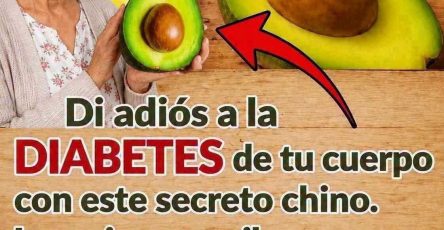 760993482 1447968594022581 469882136146964990 n
