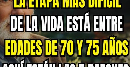762415896 2847200535646742 9097682044567134886 n