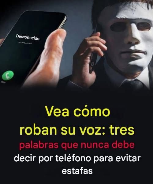762867840 122264358584088732 839104054616611319 n