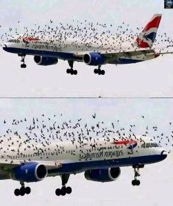 762871023 1357413863148193 4987914644379066634 n