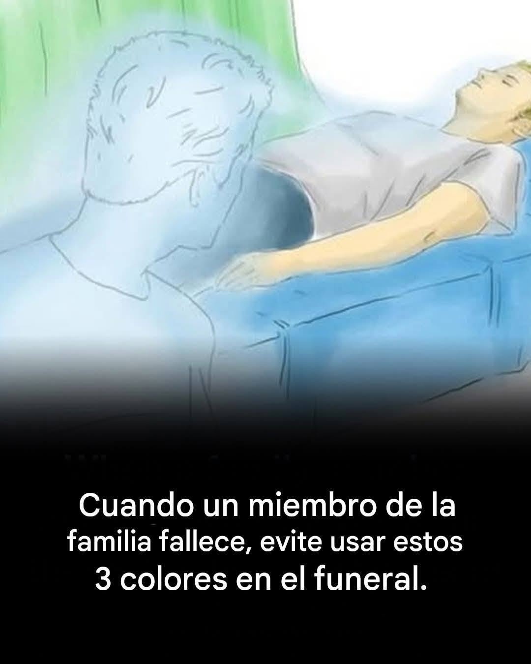 767300949 2578958335917825 2777280619489642961 n