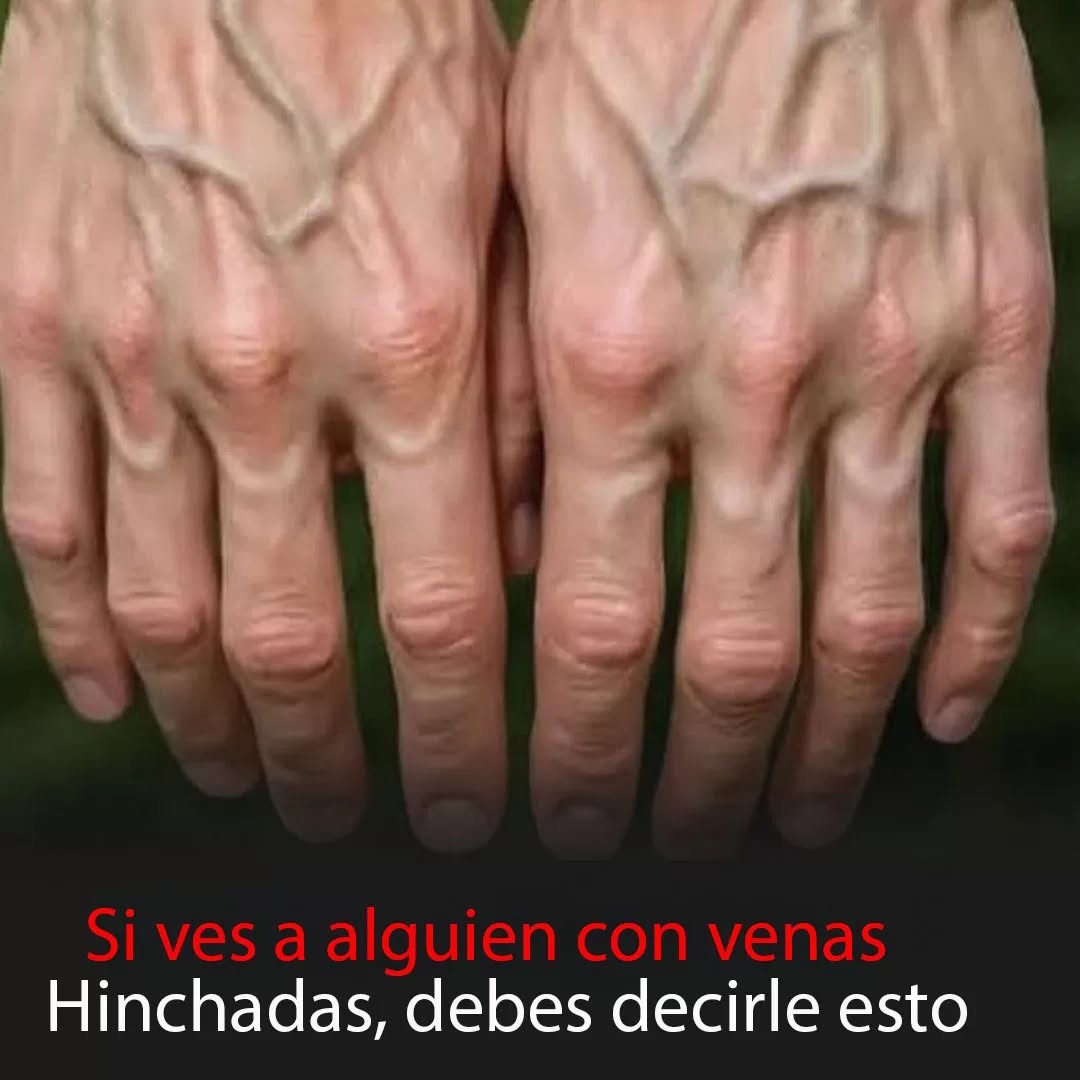770609177 2581764522303873 8891627936026078638 n
