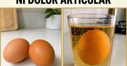 772271010 1763672829096901 8509634432939841445 n
