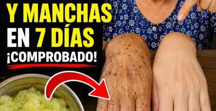 773028926 1448189980128006 4676177330527030405 n