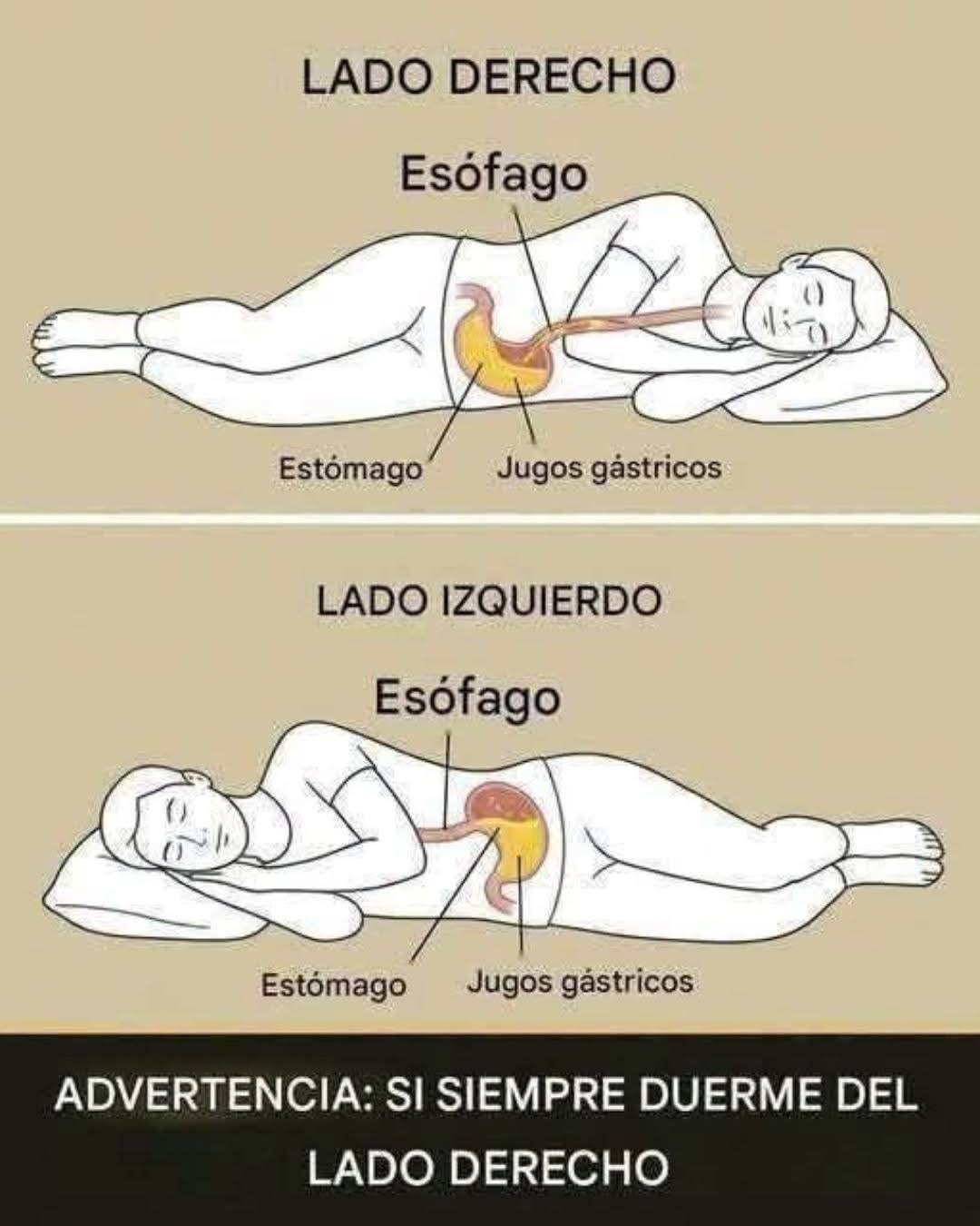 776253003 4563189264001833 5578483822223604418 n