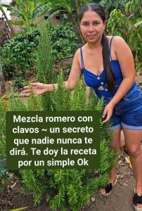 783589717 2286666658811751 7966756180636678559 n