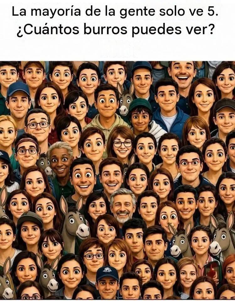 785711106 2467130093785531 7406759766445708897 n